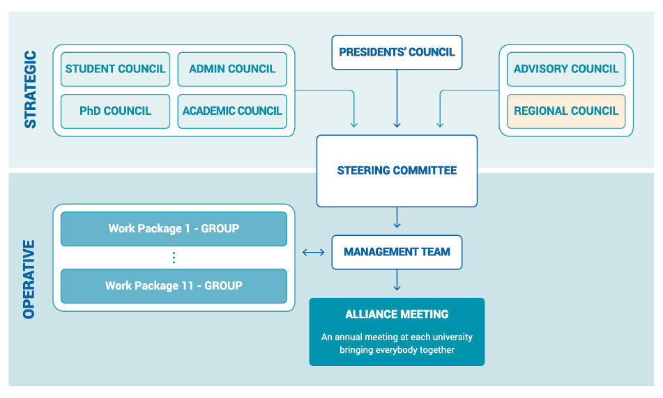 A Scheme visualising the governance structure, divided into strategic and operative bodies. 