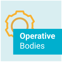 See Operative Bodies