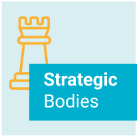 See Strategic Bodies