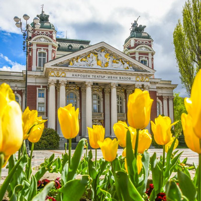 Yellow tulips are growing in front of the National Theater Ivan Vazov in the city of Sofia.