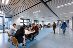Students studying and talking to each other in one of the areas at the University of Bergamo